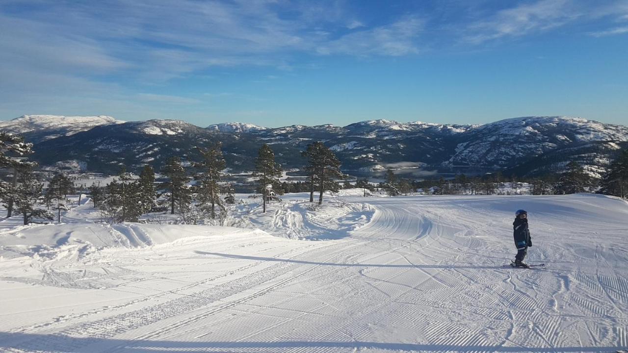 Villa Vradal Panorama - Tiurasvegen 39 Extérieur photo
